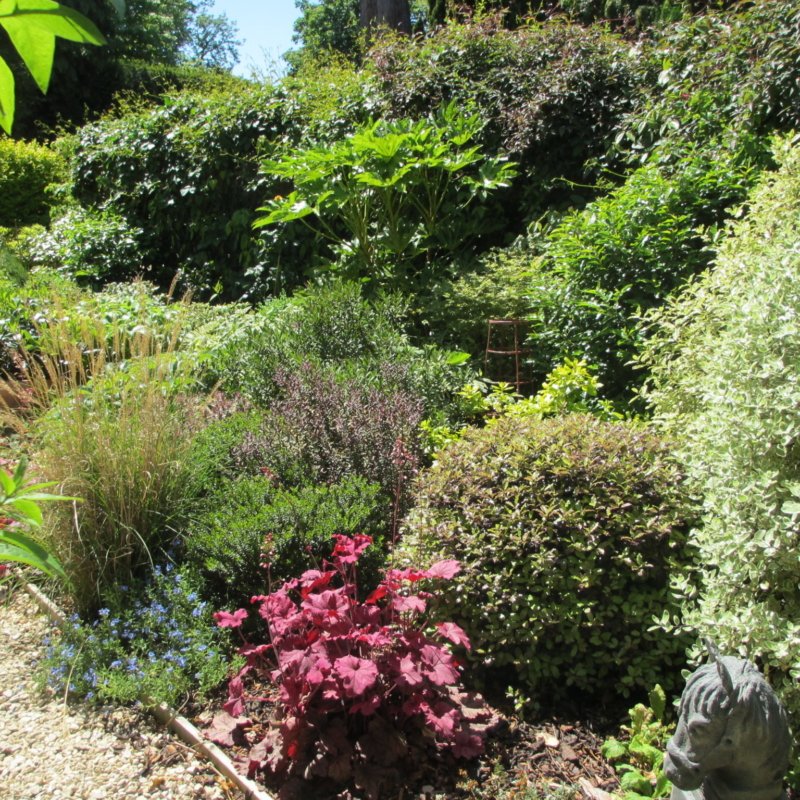 Mixed Shrub Planting