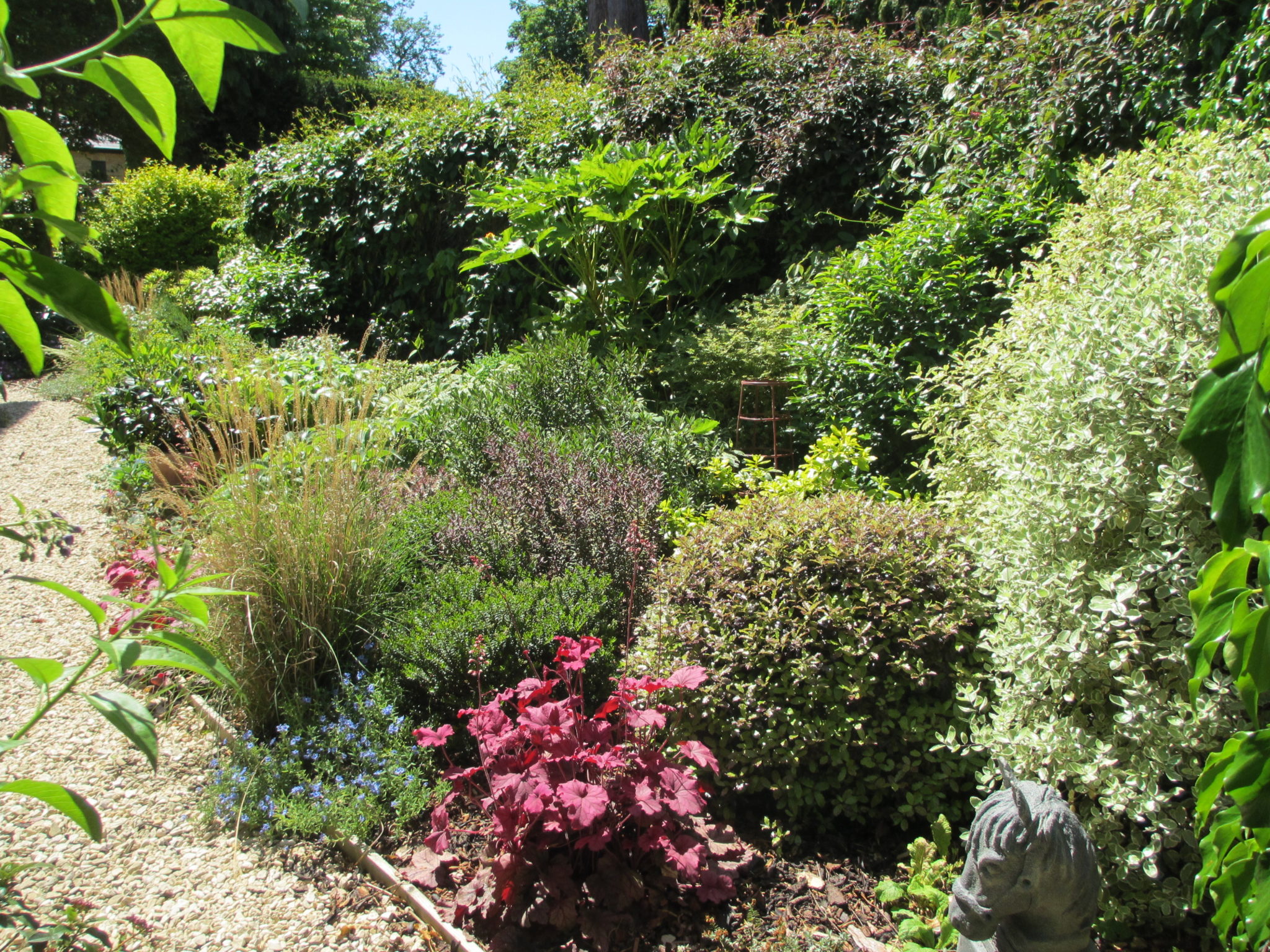 Mixed Shrub Planting