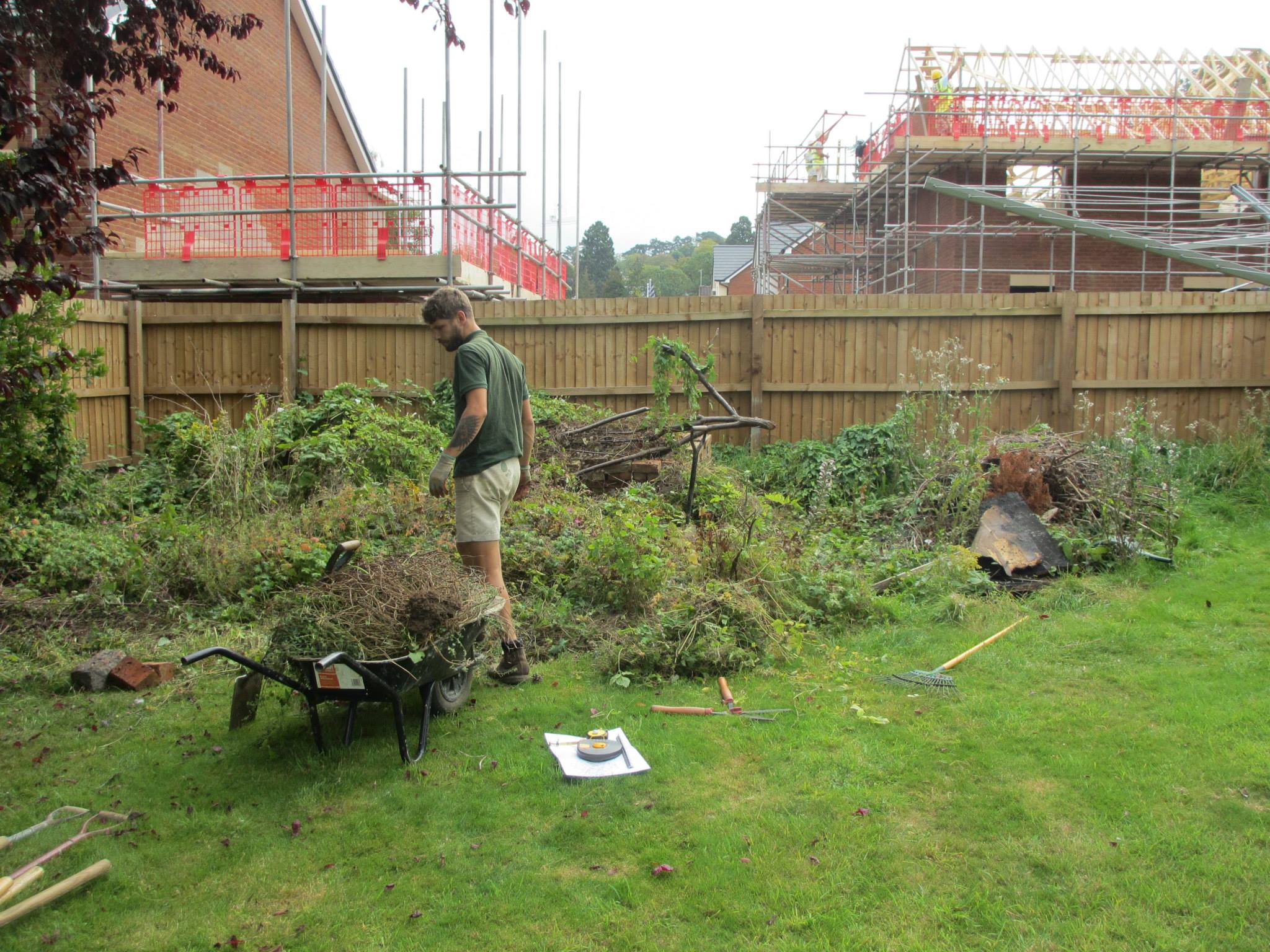 garden clearance