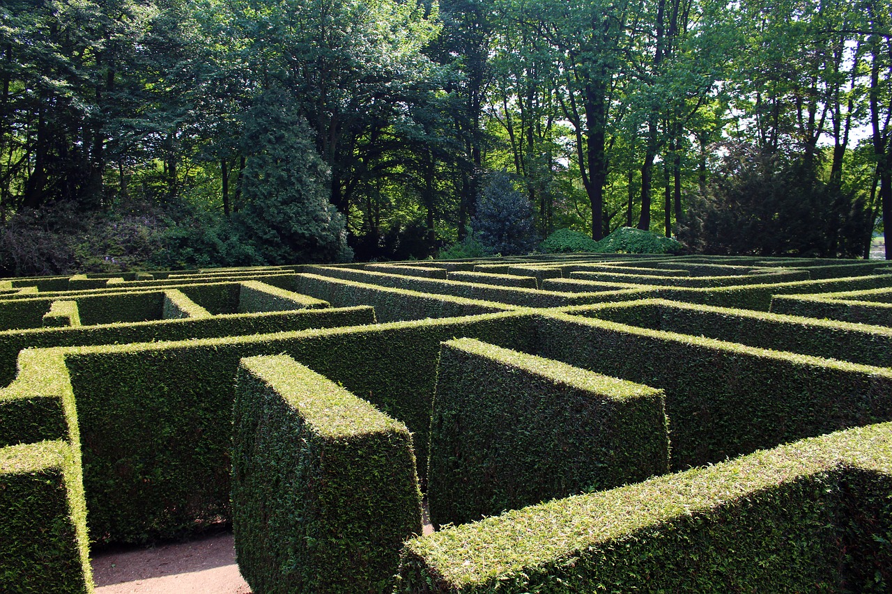 hedge maze