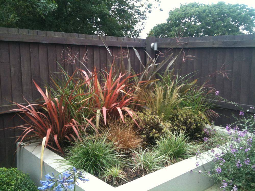 raised flower bed with naturally messy looking plants