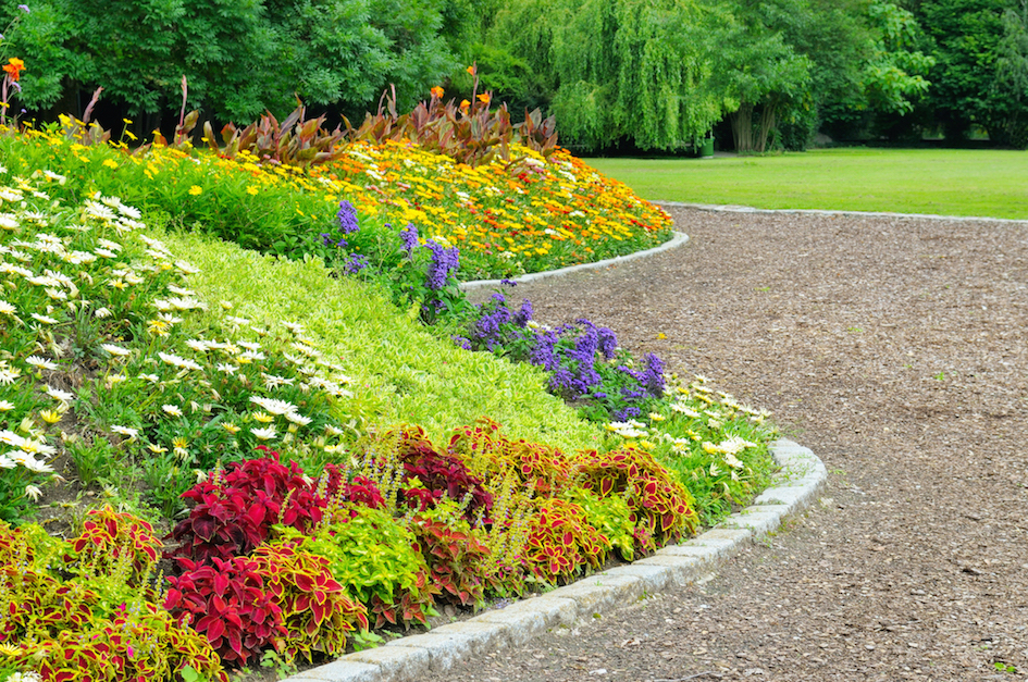 shrub island with berm and stunning flowers