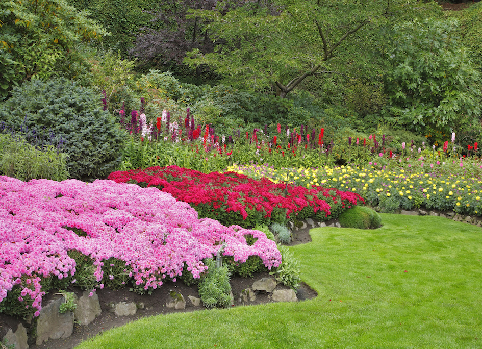 shrub island with colourful flowers